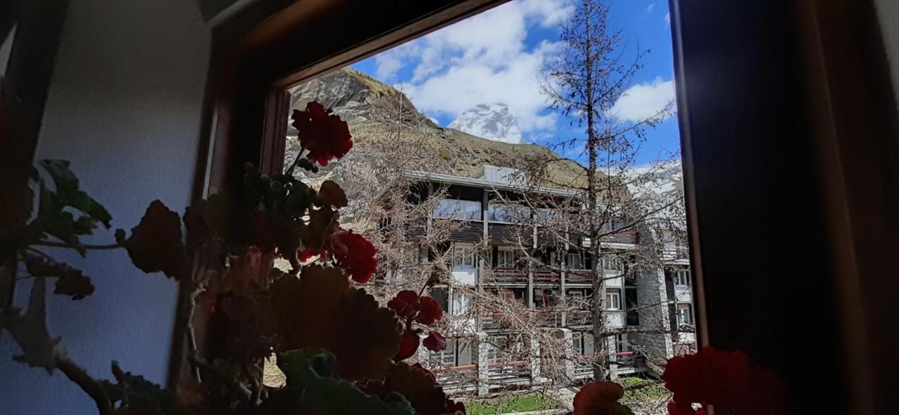 Matterhorn Studio Cervinia Breuil-Cervinia Dış mekan fotoğraf